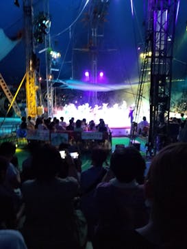木下大サーカス名古屋公演に投稿された画像（2025/7/30）