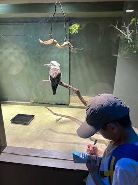 カワスイ 川崎⽔族館に投稿された画像（2025/7/30）