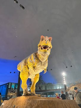 福井県立恐竜博物館に投稿された画像（2025/7/30）