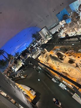 福井県立恐竜博物館に投稿された画像（2025/7/30）