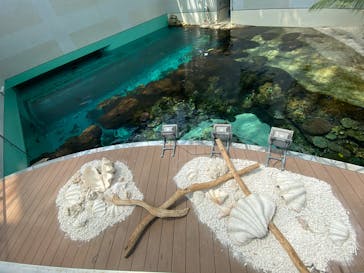 名古屋港水族館に投稿された画像（2025/7/30）