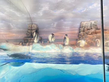 名古屋港水族館に投稿された画像（2025/7/30）