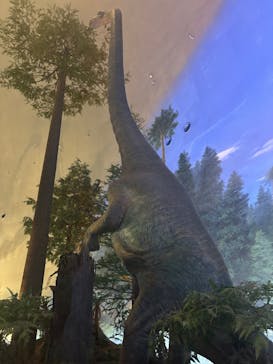 福井県立恐竜博物館に投稿された画像（2025/7/30）