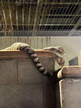 NIFREL（ニフレル）に投稿された画像（2025/7/30）