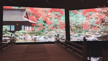 特別展「江戸☆大奥」に投稿された画像（2025/7/30）