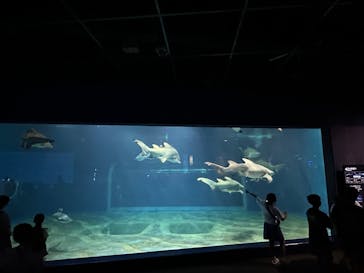 アクアワールド茨城県大洗水族館に投稿された画像（2025/7/30）