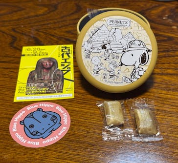 ブルックリン博物館所蔵　特別展　古代エジプト（豊田会場）に投稿された画像（2025/7/30）