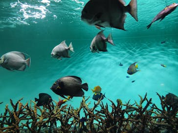 葛西臨海水族園に投稿された画像（2025/7/30）