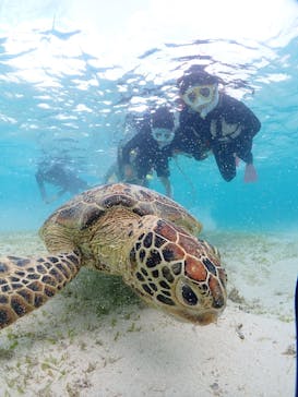 初心者専門宮古島シュノーケリングツアーに投稿された画像（2025/7/30）