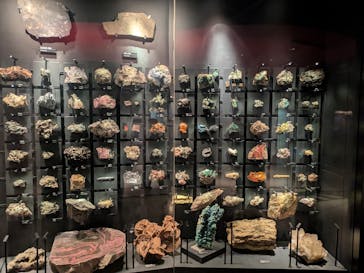 特別展「氷河期展 〜人類が見た4万年前の世界〜」（国立科学博物館）に投稿された画像（2025/7/30）