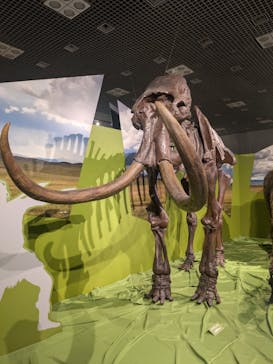 特別展「氷河期展 〜人類が見た4万年前の世界〜」（国立科学博物館）に投稿された画像（2025/7/30）