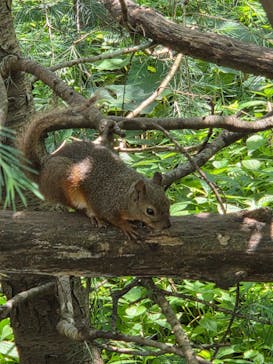 那須どうぶつ王国に投稿された画像（2025/7/30）