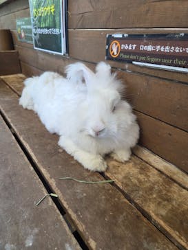 那須どうぶつ王国に投稿された画像（2025/7/30）