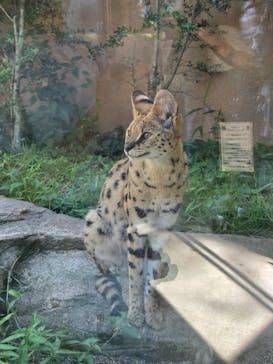 那須どうぶつ王国に投稿された画像（2025/7/30）