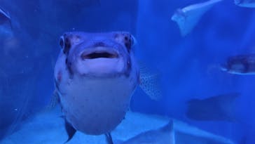 マクセル アクアパーク品川に投稿された画像（2025/7/30）