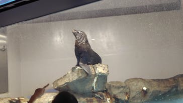 マクセル アクアパーク品川に投稿された画像（2025/7/30）