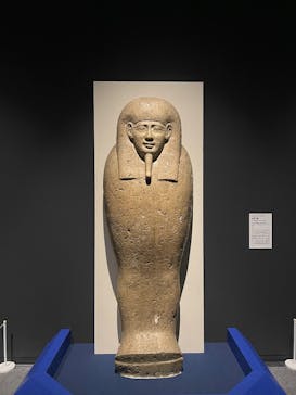 ブルックリン博物館所蔵　特別展　古代エジプト（豊田会場）に投稿された画像（2025/7/30）