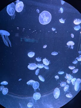 AOAO SAPPOROに投稿された画像（2025/7/30）