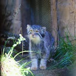 那須どうぶつ王国に投稿された画像（2025/7/31）