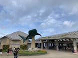 沖縄美ら海水族館に投稿された画像（2025/7/31）