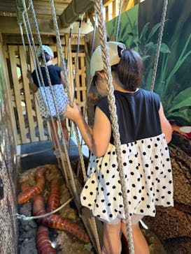 モビリティリゾートもてぎに投稿された画像（2025/7/30）