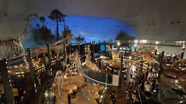 福井県立恐竜博物館に投稿された画像（2025/7/30）