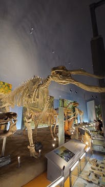 福井県立恐竜博物館に投稿された画像（2025/7/30）