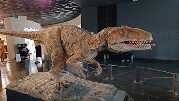 福井県立恐竜博物館に投稿された画像（2025/7/30）