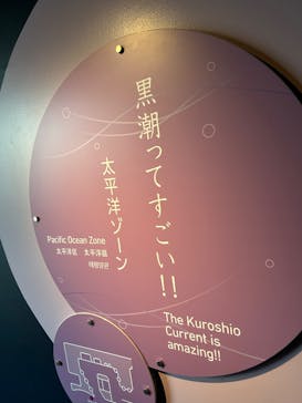 四国水族館に投稿された画像（2025/7/30）