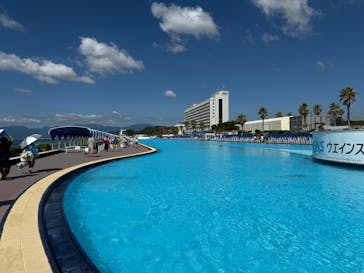 大磯ロングビーチに投稿された画像（2025/7/31）