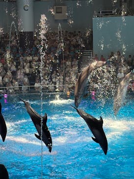 マクセル アクアパーク品川に投稿された画像（2025/7/31）