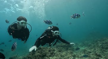 武藤潜水に投稿された画像（2025/7/31）