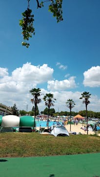 しらこばと水上公園（埼玉県公園緑地協会）に投稿された画像（2025/7/31）