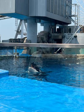名古屋港水族館に投稿された画像（2025/7/31）