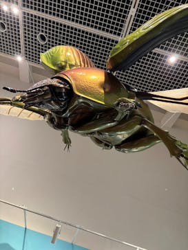 特別展 『昆虫 MANIAC』に投稿された画像（2025/7/31）