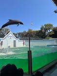 しながわ水族館に投稿された画像（2025/7/31）