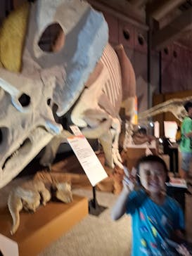 巨大恐竜展2025に投稿された画像（2025/7/31）