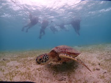 imtida宮古島に投稿された画像（2025/7/31）