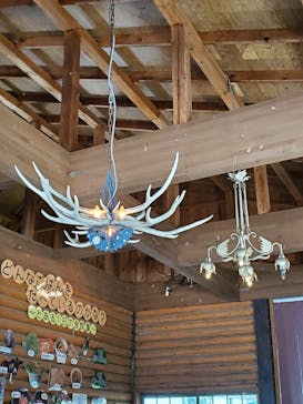 宇都宮動物園に投稿された画像（2025/7/31）