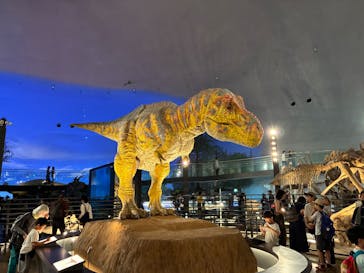 福井県立恐竜博物館に投稿された画像（2025/7/31）