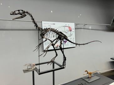 福井県立恐竜博物館に投稿された画像（2025/7/31）