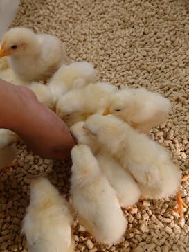 Moff animal cafe イオンモール名取店に投稿された画像（2025/7/31）