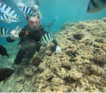 武藤潜水に投稿された画像（2025/7/31）