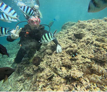 武藤潜水に投稿された画像（2025/7/31）