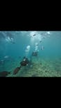 武藤潜水に投稿された画像（2025/7/31）