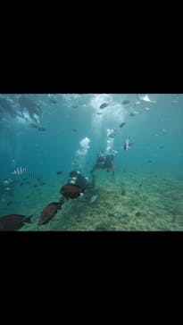 武藤潜水に投稿された画像（2025/7/31）