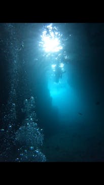 武藤潜水に投稿された画像（2025/7/31）