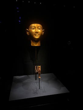 ACN ラムセス大王展 ファラオたちの黄金に投稿された画像（2025/7/31）