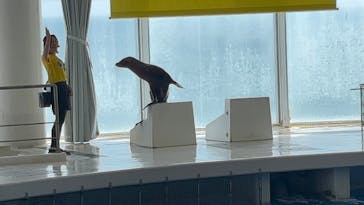 アクアワールド茨城県大洗水族館に投稿された画像（2025/7/31）