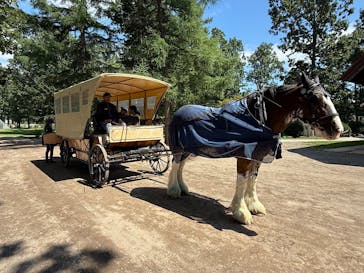 ノーザンホースパークに投稿された画像（2025/7/31）